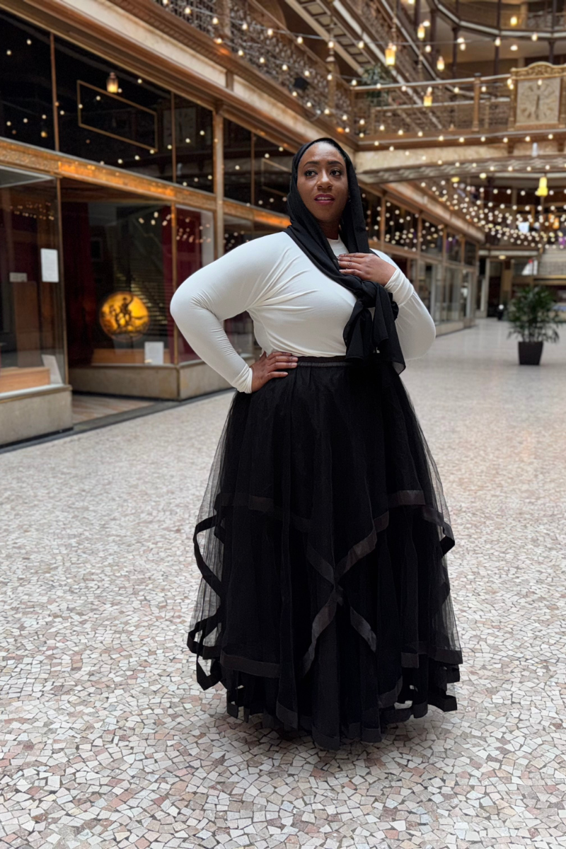 Royal Premium Quality Tulle Skirt – covermecutee Royal Premium Quality Tulle Skirt – covermecutee